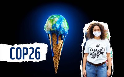 Schatten und Licht, Klimaschutz oder nicht? WWF TEAM PANDA zum Ergebnis der Weltklimakonferenz