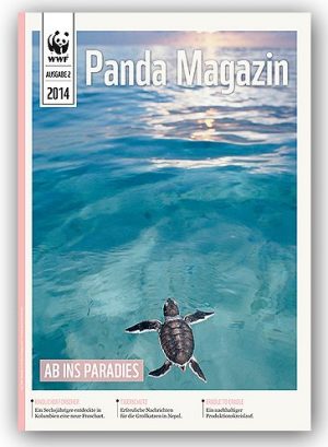 Panda Magazin Schildkröte Meere