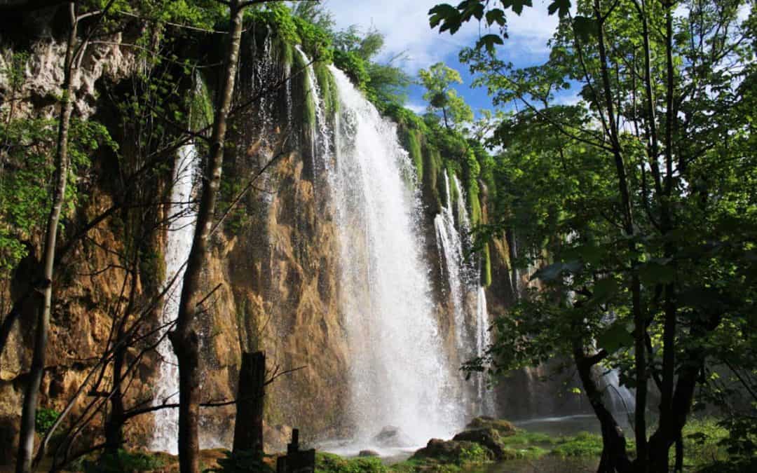 03. – 10. Mai 2025 – Exkursion: Die Naturschönheiten Kroatiens