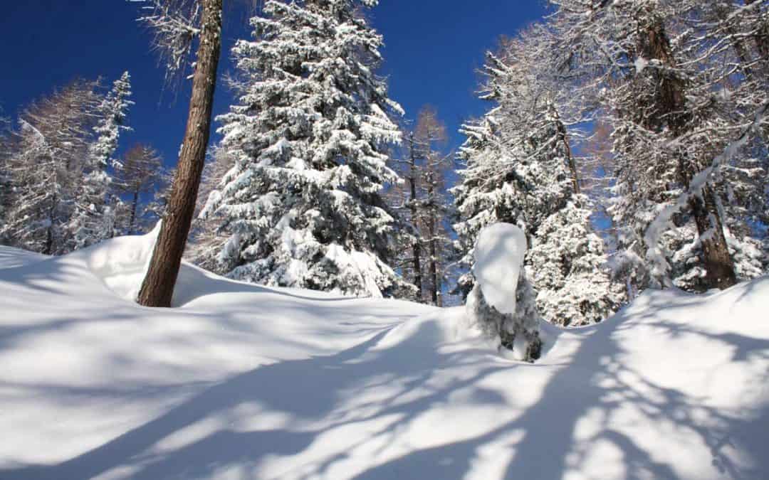 21. – 23. Jänner 2022 – Schneeschuh Exkursion Kalkalpen