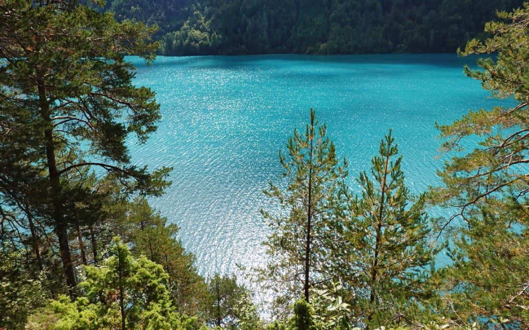 17. – 24. September 2022 – Exkursion Naturjuwele Süd-Österreichs