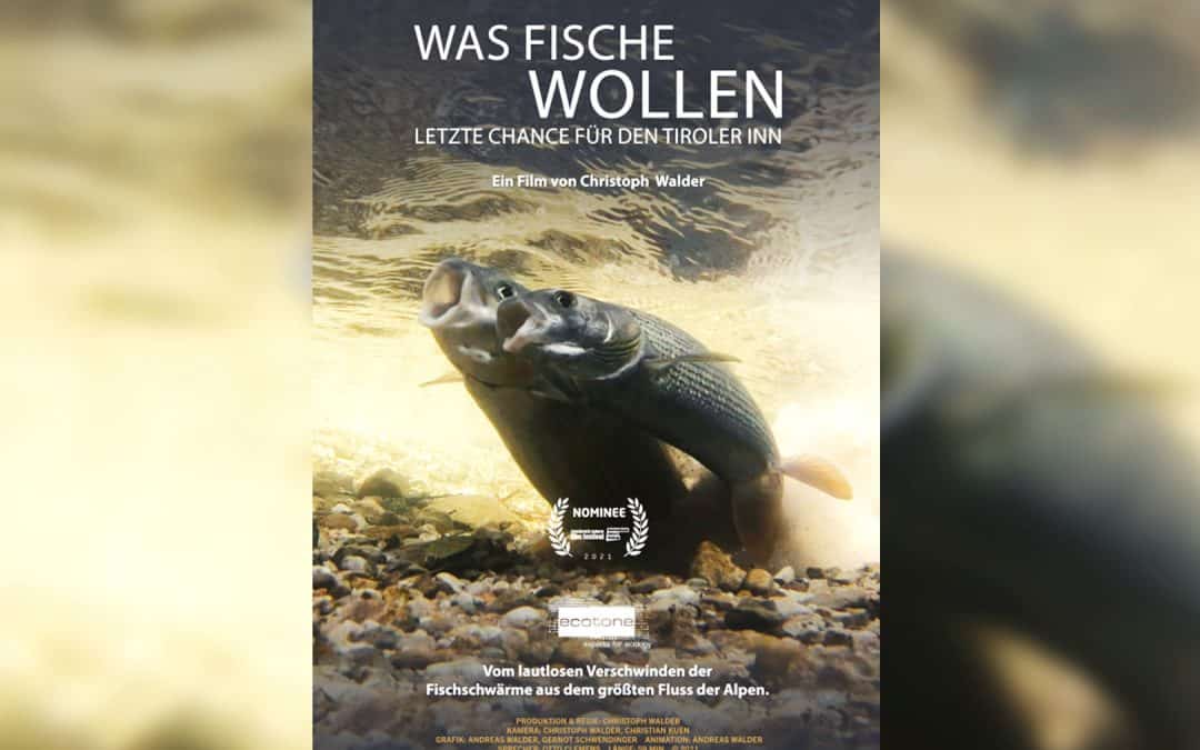 Filmvorführung und Podiumsdiskussion „Was Fische wollen“