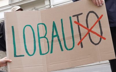 Bodenversiegelung statt Klimaschutz: WWF kritisiert Hanke-Kurs in der Verkehrspolitik