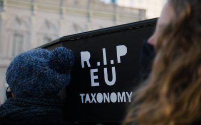WWF warnt: 10 Gründe gegen Atomkraft und Gas in der EU-Taxonomie