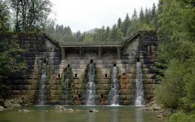 Österreichs Gewässer in der Krise: WWF fordert Sanierungsoffensive