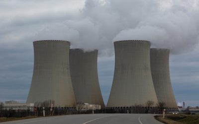 WWF: Heimische Unternehmen fordern Ausschluss von Atomkraft und Gas aus dem Europäischen Green Deal