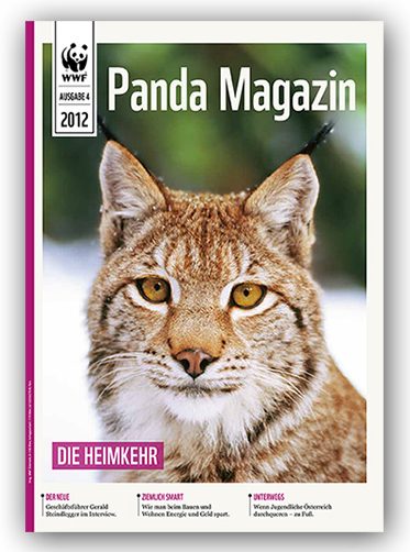 Panda Magazin Luchs