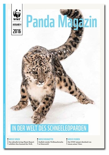 Panda Magazin Schneeleopard