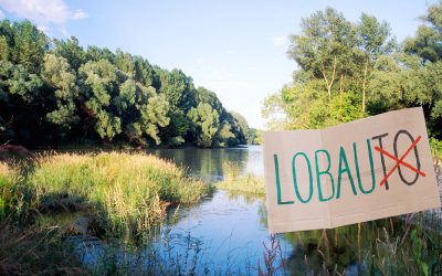 Bauarbeiten für Lobau-Autobahn gestartet – WWF kritisiert sündteuren Irrweg