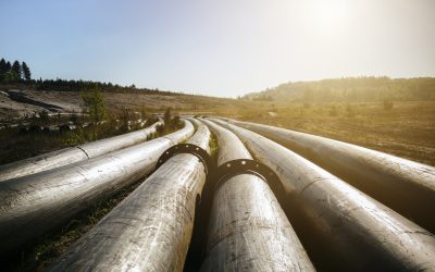 WWF: Erdgas-Ausstieg rasch vorantreiben