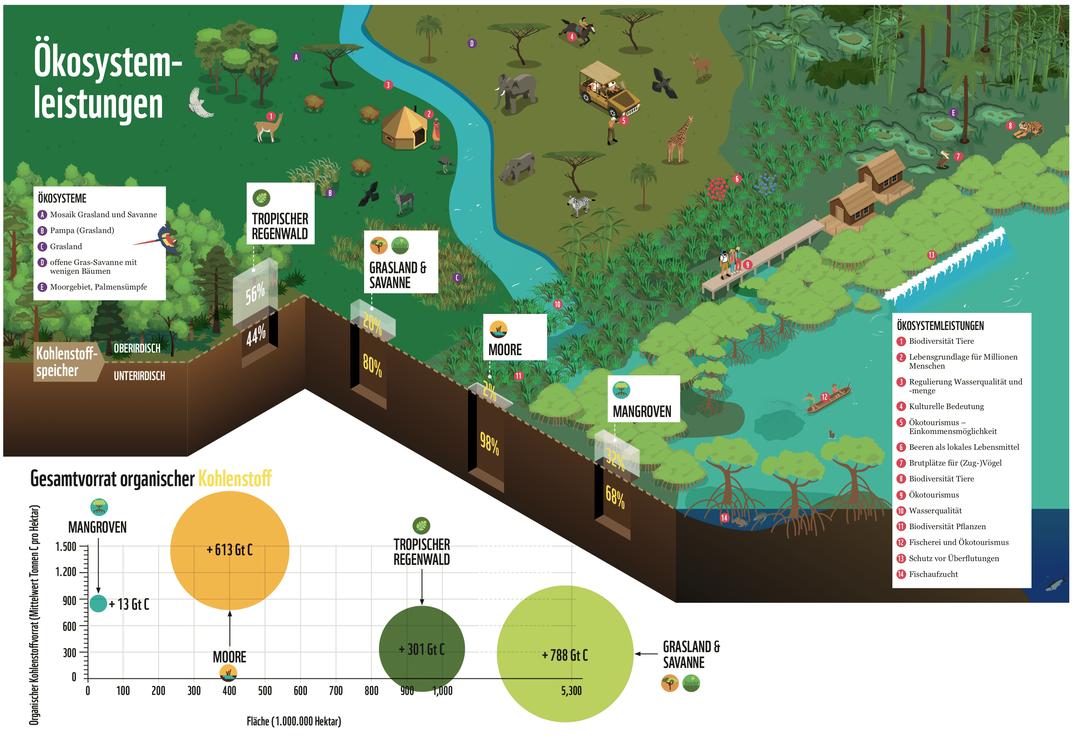 Waldzerstörung