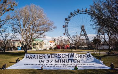 Together4Forests: Europaweite Initiative fordert verschärftes EU-Waldschutzgesetz