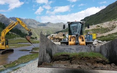 Die vergessene Klimasünde: Moorschutz wird in Österreich regelmäßig ausgehebelt