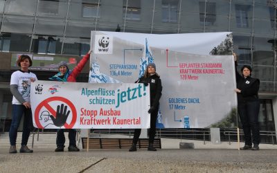 Protestaktion „Stopp Ausbau Kraftwerk Kaunertal“: TIWAG muss naturzerstörerisches Projekt beenden