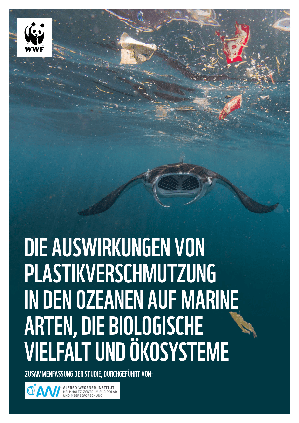 WWF Studie Plastikmüll - Meere FEBRUAR 2022