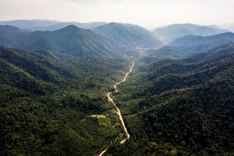 Die DawnaTenasserimRegion WWF Österreich