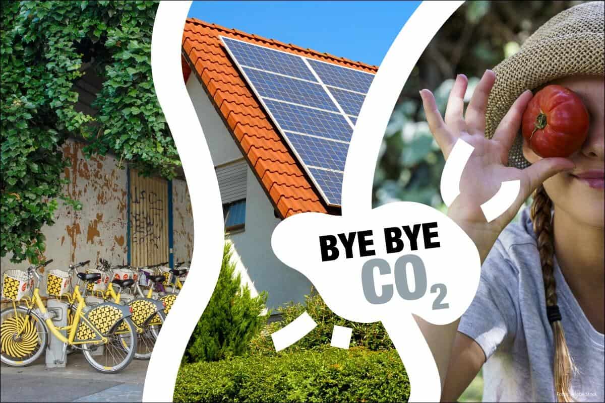 Bye Bye CO2 (c) adobestock WWF Bye Bye CO2