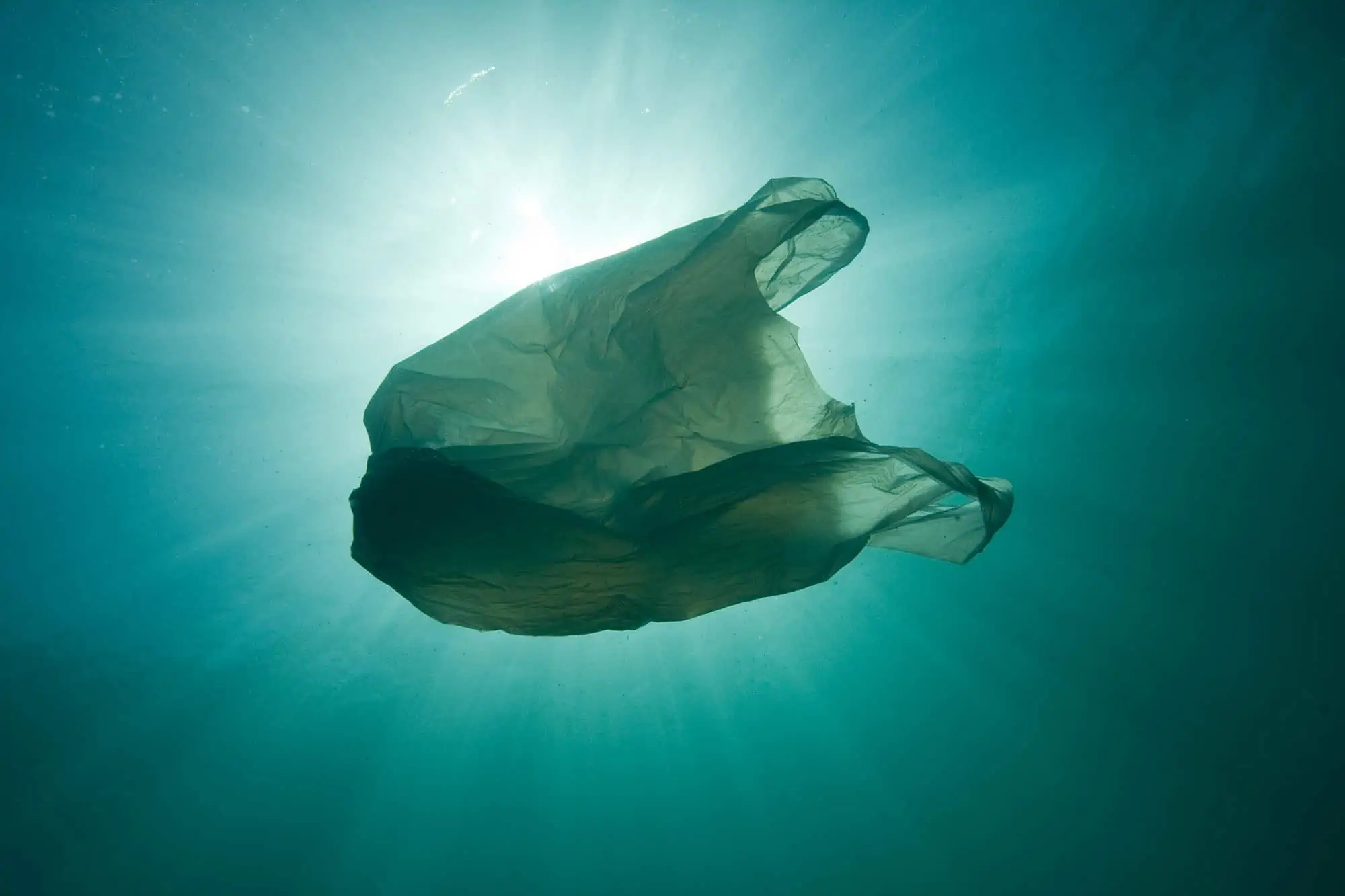 Plastik in den Meeren (c) naturepl.com/Sue Daly/WWF