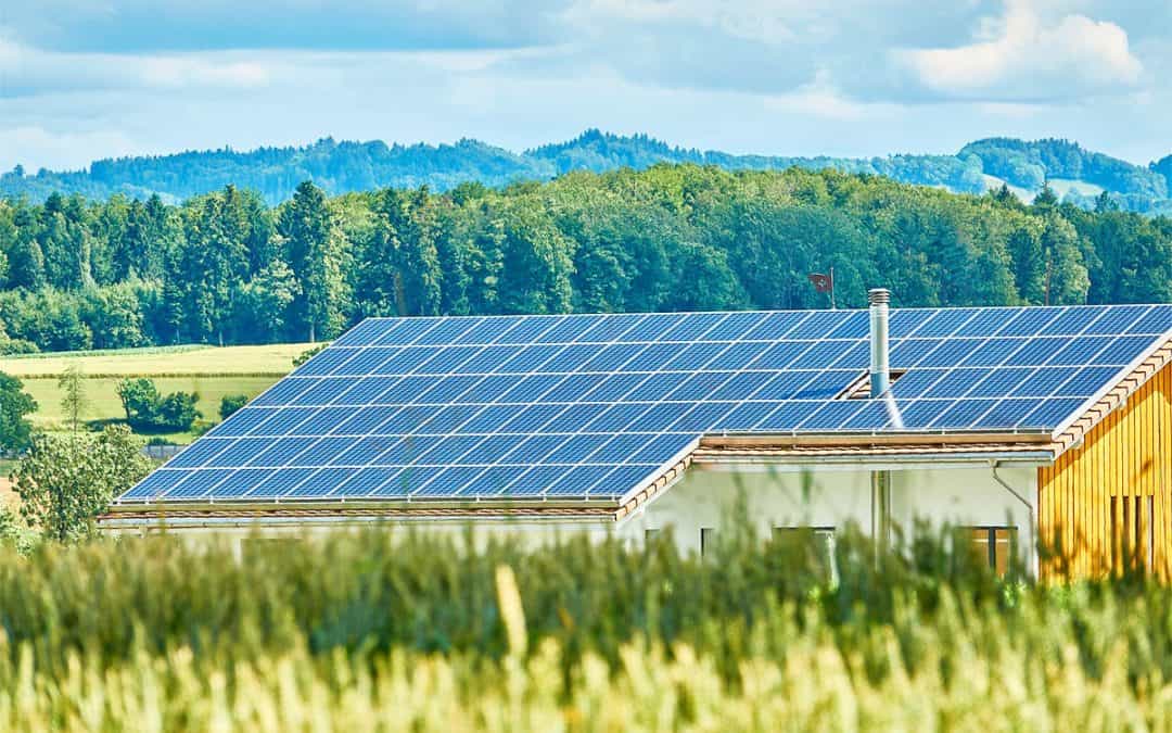 Waffen und Atomenergie oder Klimaschutz: Weißt du, was dein Geld finanziert?