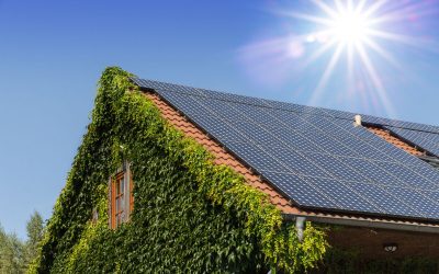 WWF zum „Tag der Erde“: Österreich muss Energieverschwendung stoppen und Ressourcenverbrauch einbremsen