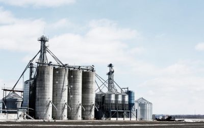 WWF fordert Ausstiegsplan aus Öl und Gas