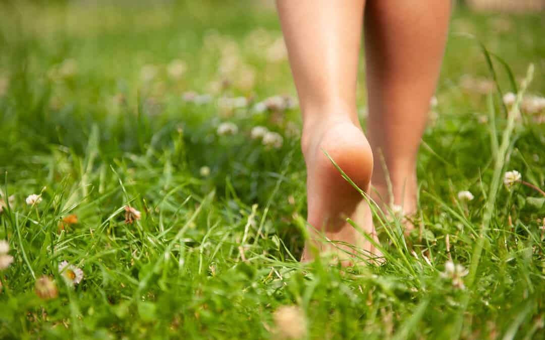 Bewegungsspiel: Fang den Frosch