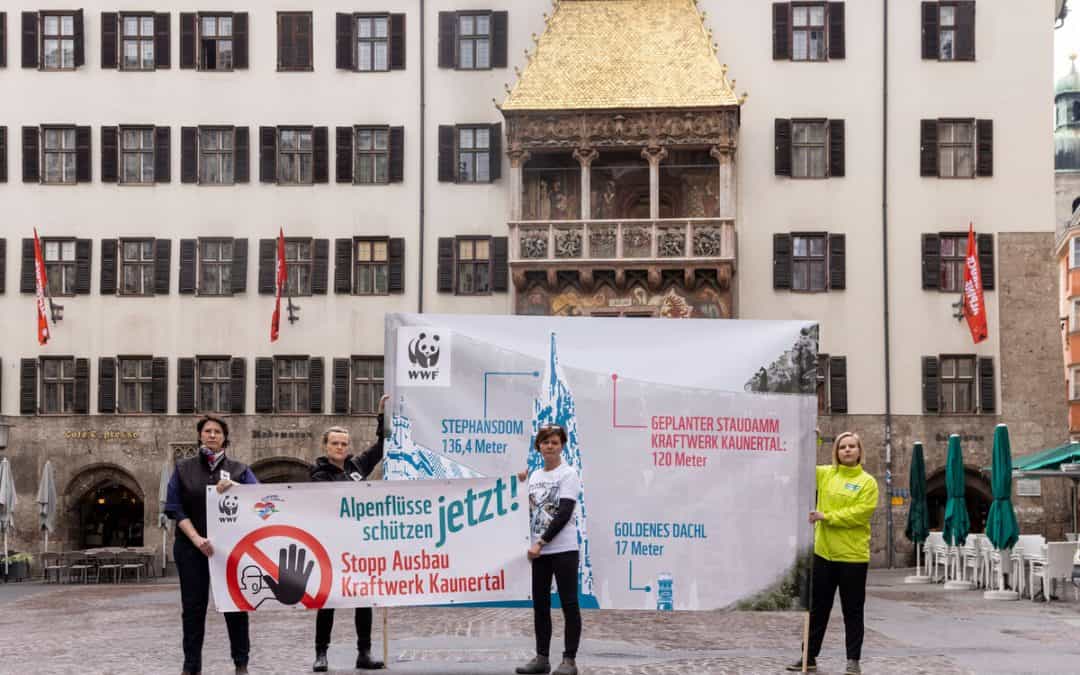 Umweltallianz präsentiert Kaunertal Erklärung 2022