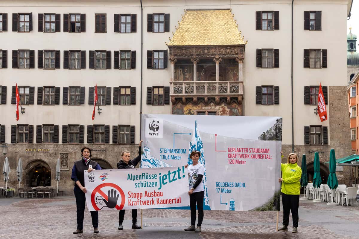 Ausbaupläne Kraftwerk Kaunertal WWF Österreich