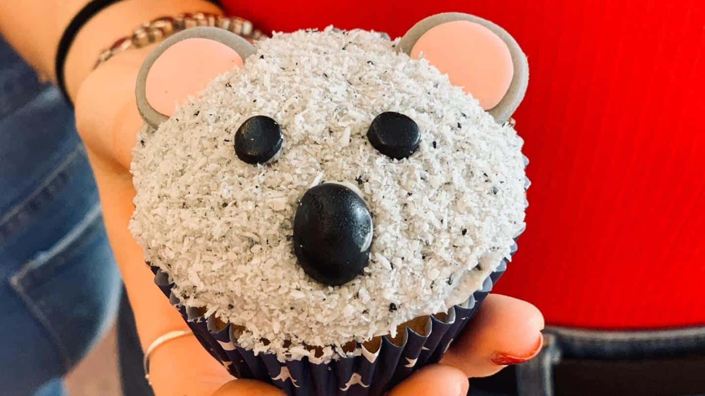 Leckere Koala-Muffins