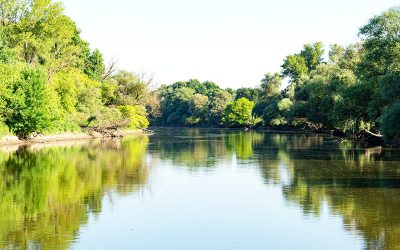 WWF: Österreich und Slowakei bekennen sich zur umfassenden March-Renaturierung