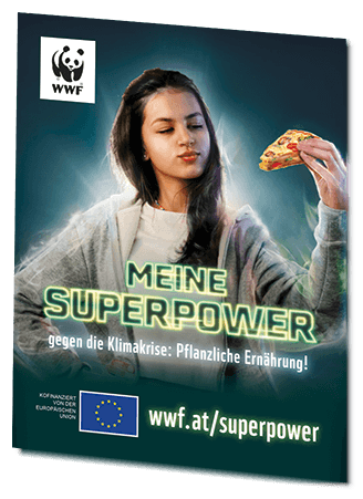 Magnet Superpower Kampagne
