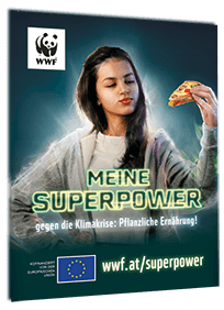 Magnet Superpower Kampagne