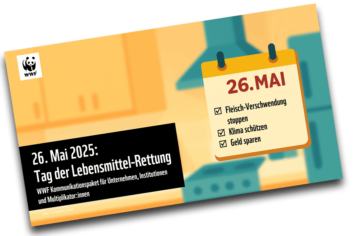 Bild Zeigt das Cover des Unternehmenspaketes zum WWF Tag der Lebensmittel-Rettung 2025