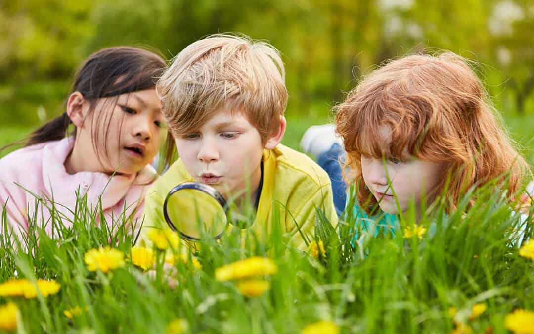 Tipps für den Bodenschutz