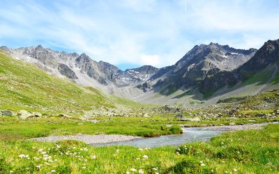 WWF, DAV und ÖAV fordern Stopp für Ausbau Kraftwerk Kaunertal