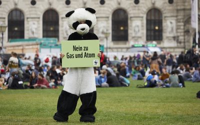Rettungsanker für Taxonomie – WWF fordert Veto gegen Atomkraft und Gas