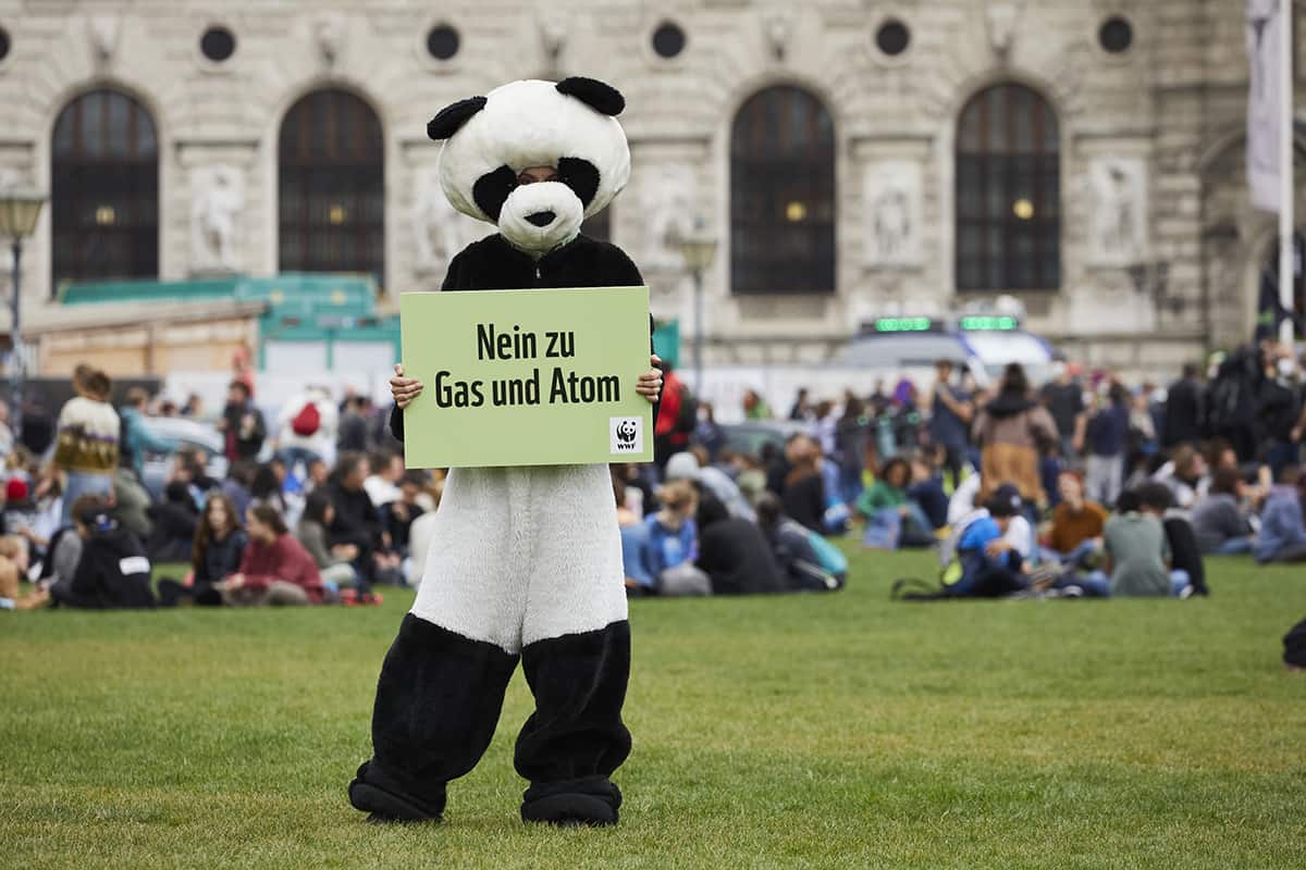 Nein-zu-Gas-und-Atom-c-Heinz_Tesarek_WWF