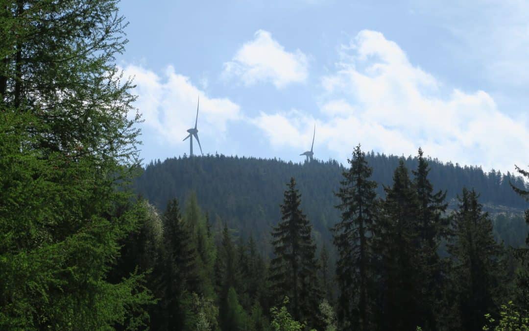 Windkraft im Wald