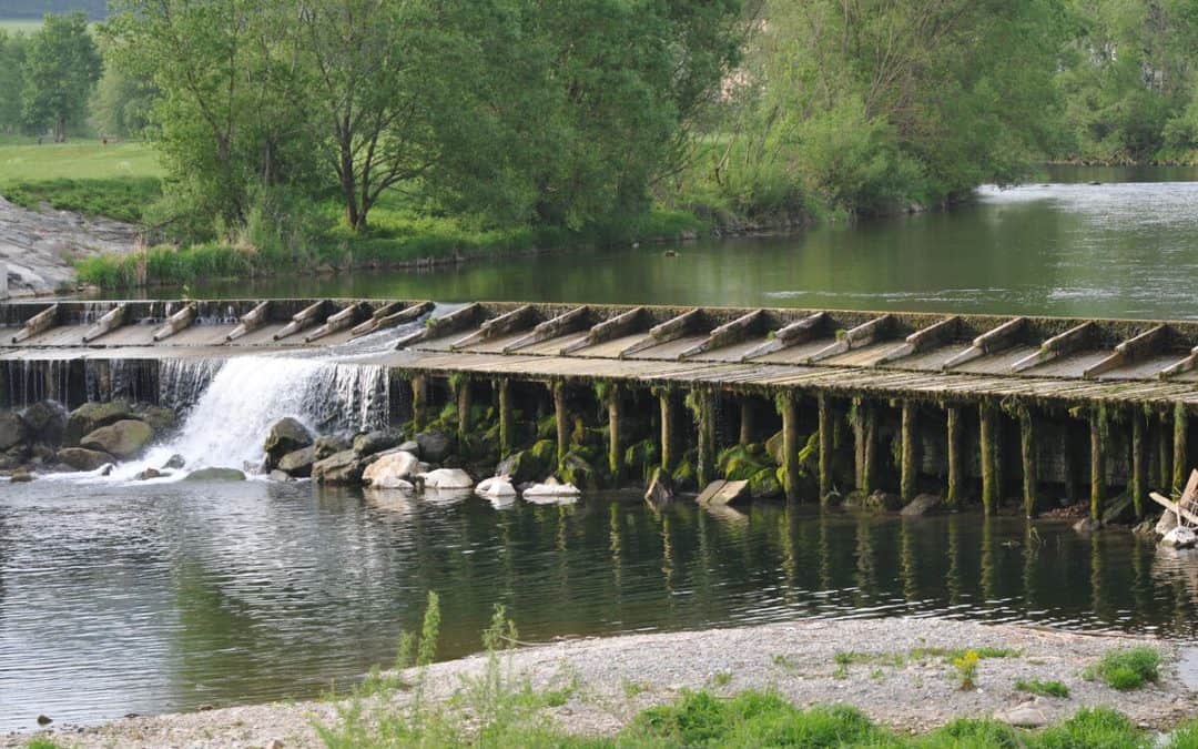 Dam Removal: Wie Damm-Entfernungen Flüsse natürlicher machen