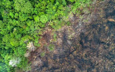 Good News: Keine Ölförderung mehr im ecuadorianischen Amazonas