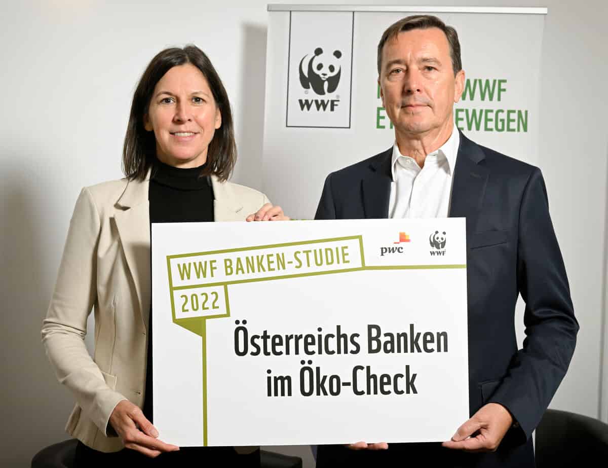 2022-10-20_PK Bankenstudie-c-Zinner