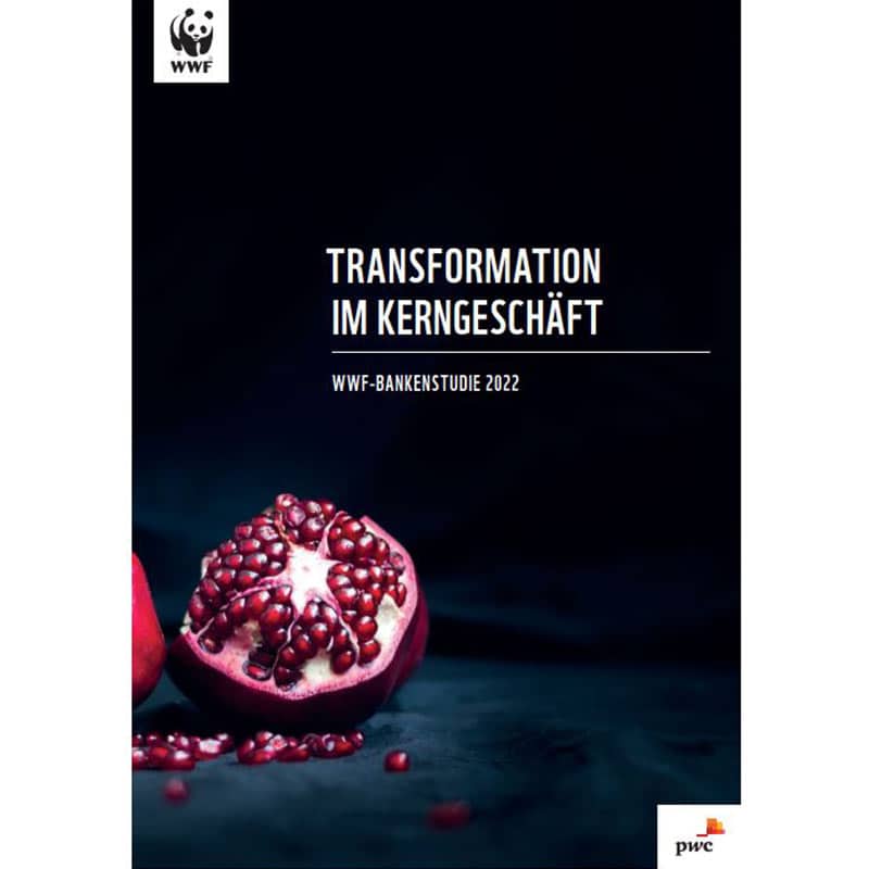 Coverbild Bankenstudie(c)Adobestock/WWF Titelblatt Moorstudie