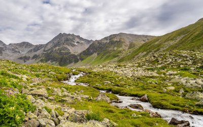 WWF: Künftige Tiroler Landesregierung muss Mega-Kraftwerk Kaunertal stoppen