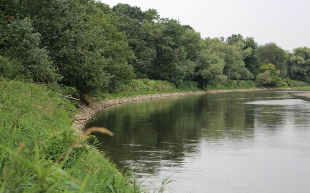 March: Wie der Fluss wieder natürlich werden kann