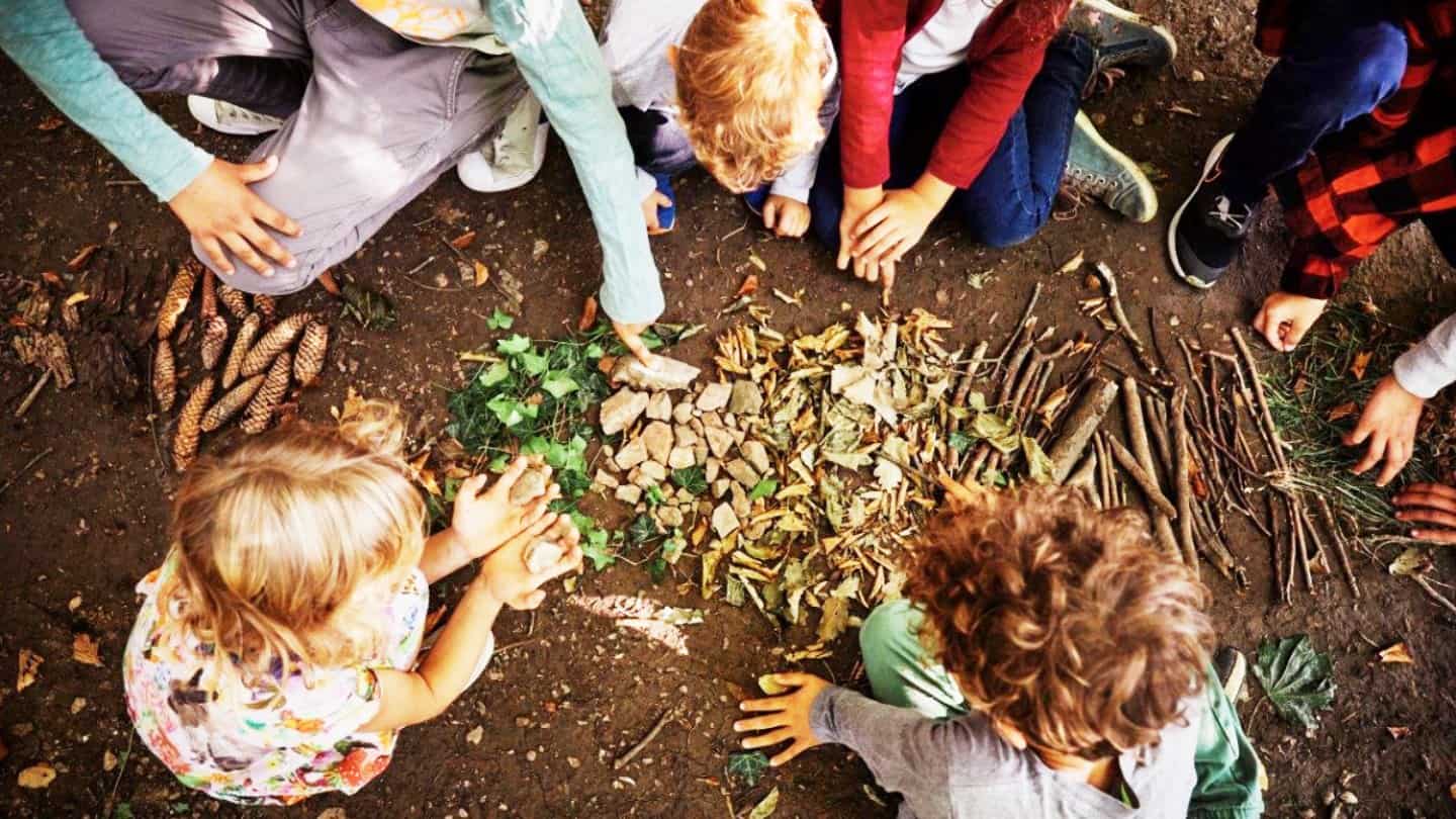 Kinder suchen Naturmaterialien im Wald