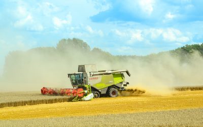 Welternährungstag: WWF fordert Ernährungswende gegen Artensterben und Klimakrise