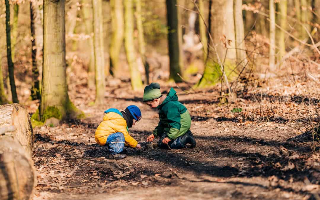Finde Naturschätze im Wald