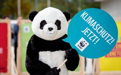 Neues Klimaschutz-Ranking: WWF fordert Politik zum Handeln auf