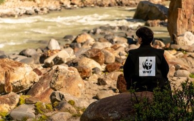 WWF fordert Ende der jahrzehntelangen Verfilzung zwischen TIWAG und Landespolitik