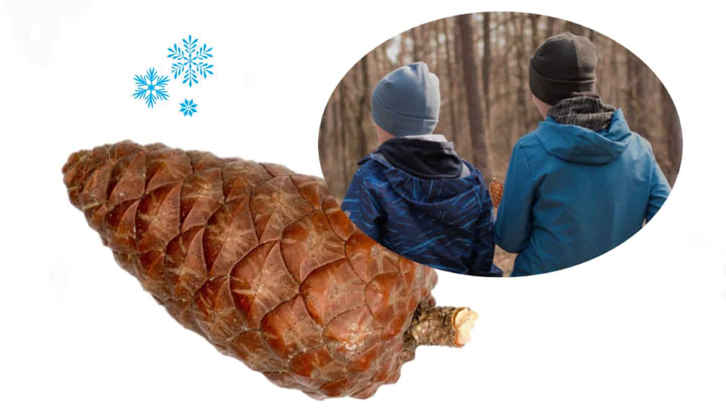 Kinder suchen Naturmaterialien im Wald